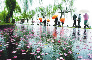 《京城春日初雨》       细风微吹漫天昏,春雨飘摇落英纷.